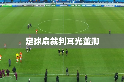 足球扇裁判耳光董卿