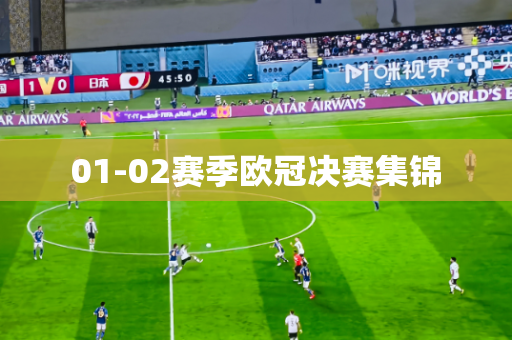 01-02赛季欧冠决赛集锦