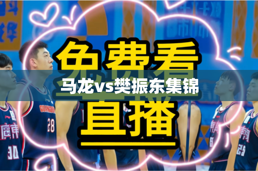 马龙vs樊振东集锦