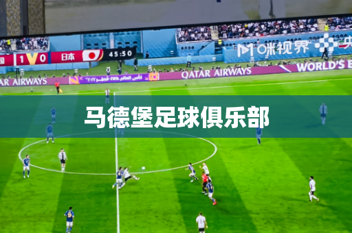 马德堡足球俱乐部