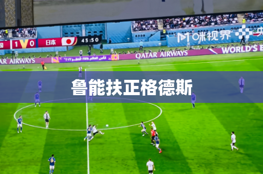 鲁能扶正格德斯 鲁能扶正格德斯