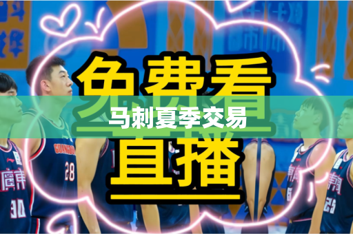 马刺夏季交易 马刺夏季交易