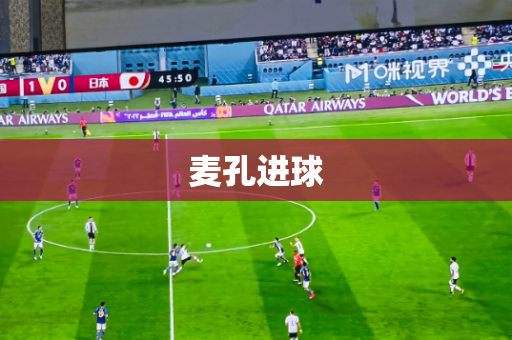 麦孔进球 麦孔进球