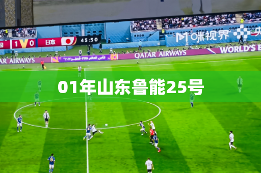 01年山东鲁能25号 01年山东鲁能25号
