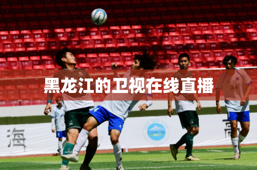 黑龙江的卫视在线直播